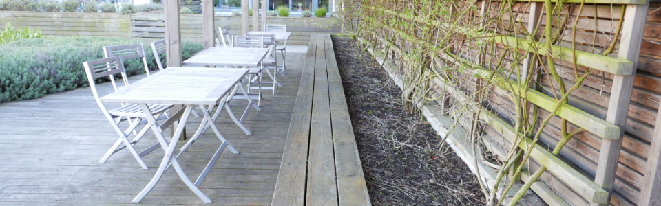 P1050311
